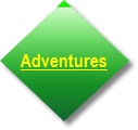About Us Button